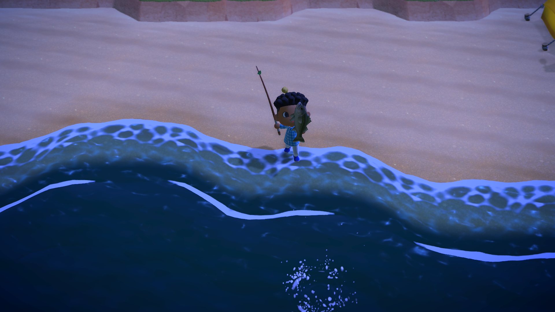 A night fish on the shore. The fish are not impressed.