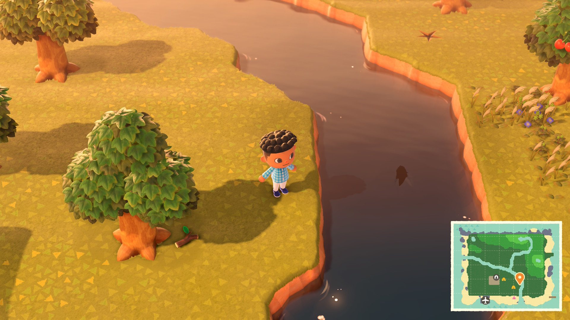 Animal Crossing: New Horizons cover