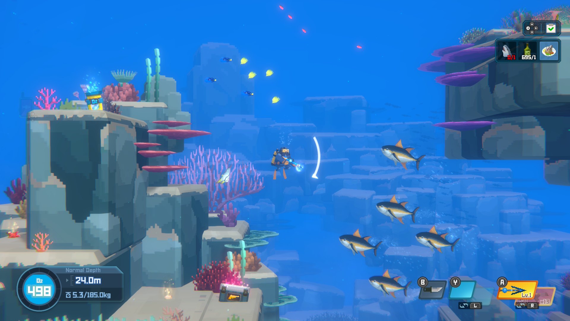 A school of tuna drifting past, blissfully unaware of the sushi menu.