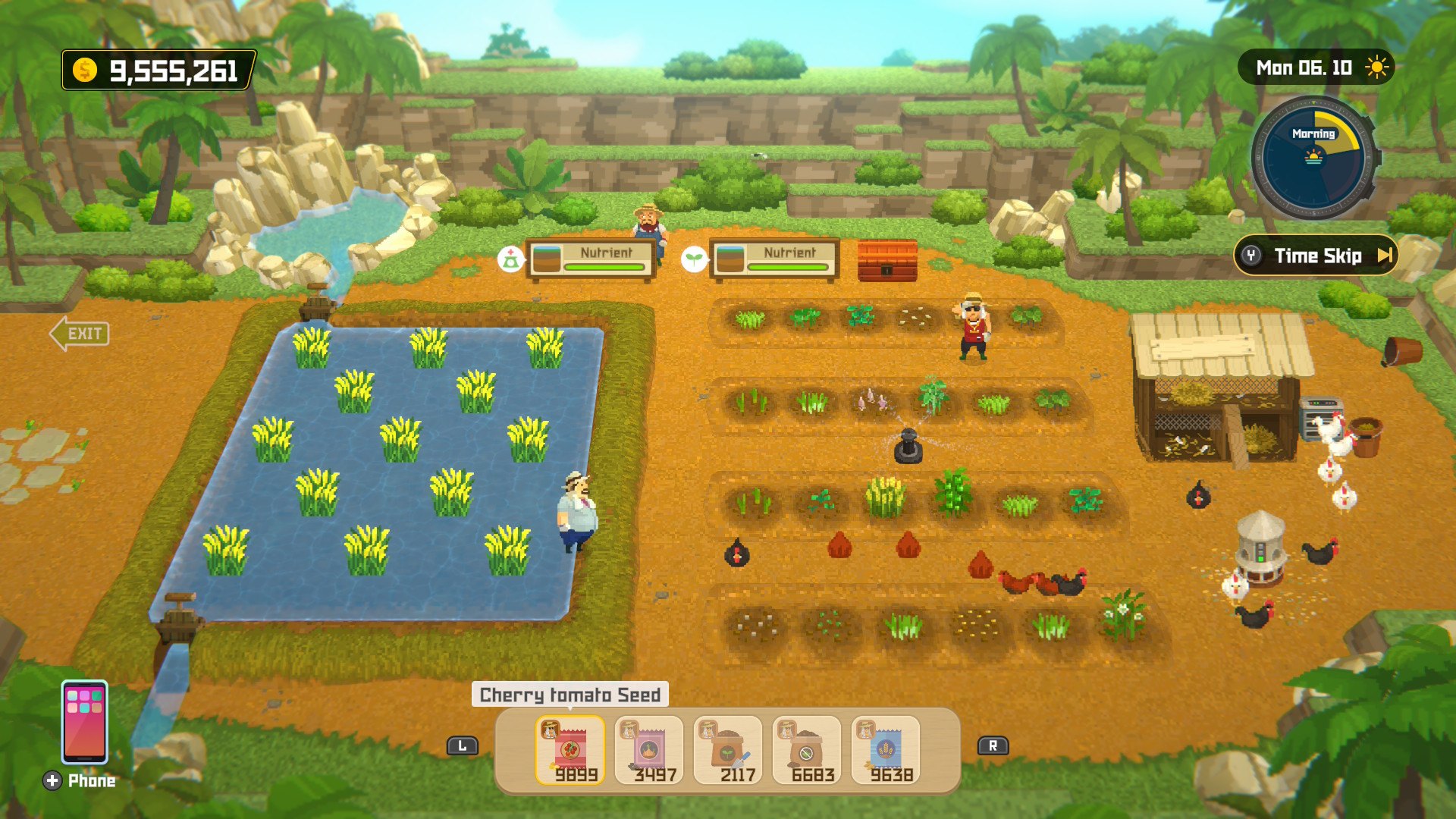 The farm: rice, vegetables and chickens. Very busy chickens.