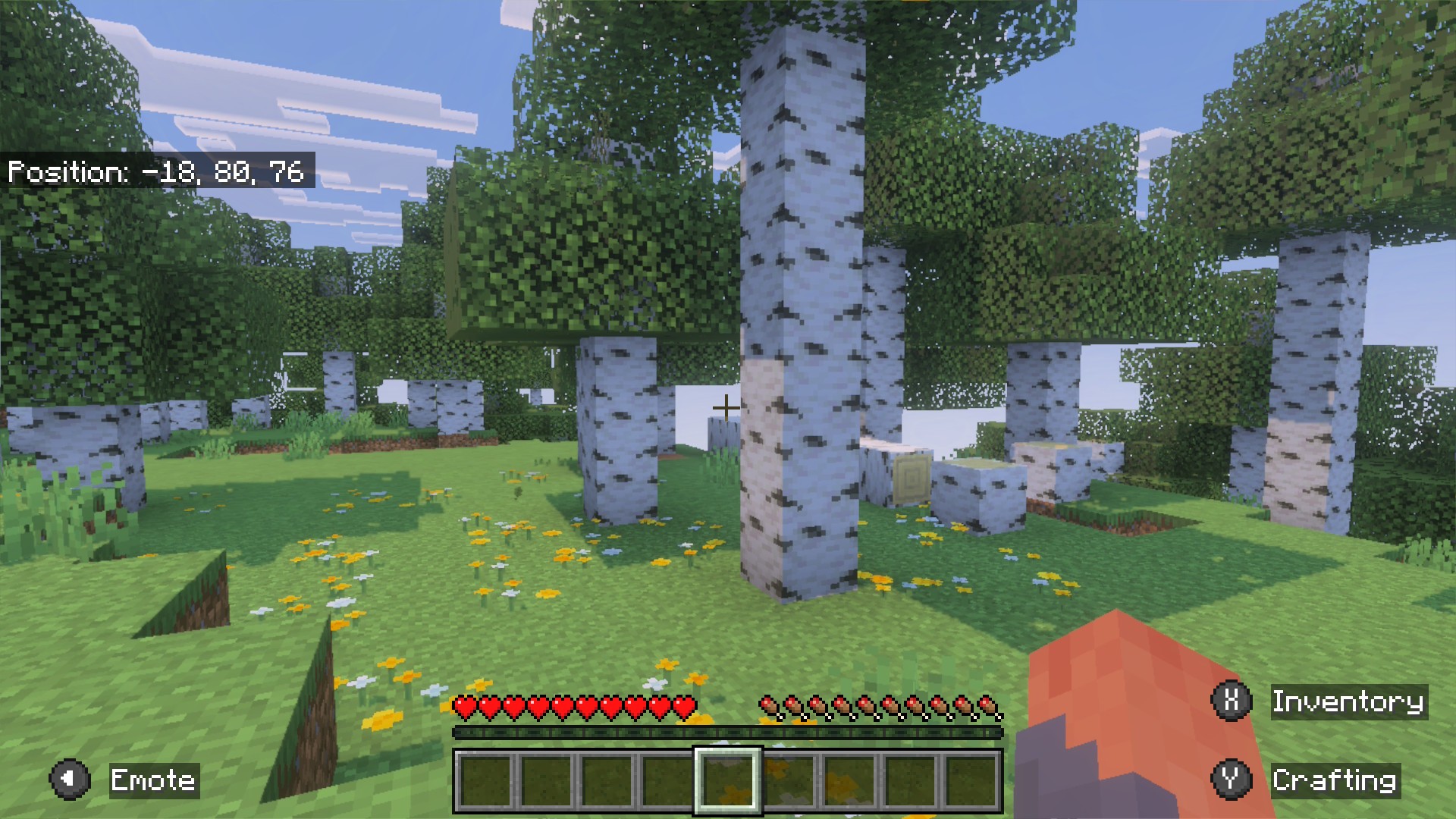 Minecraft: a birch forest with yellow and blue flowers in the daylight