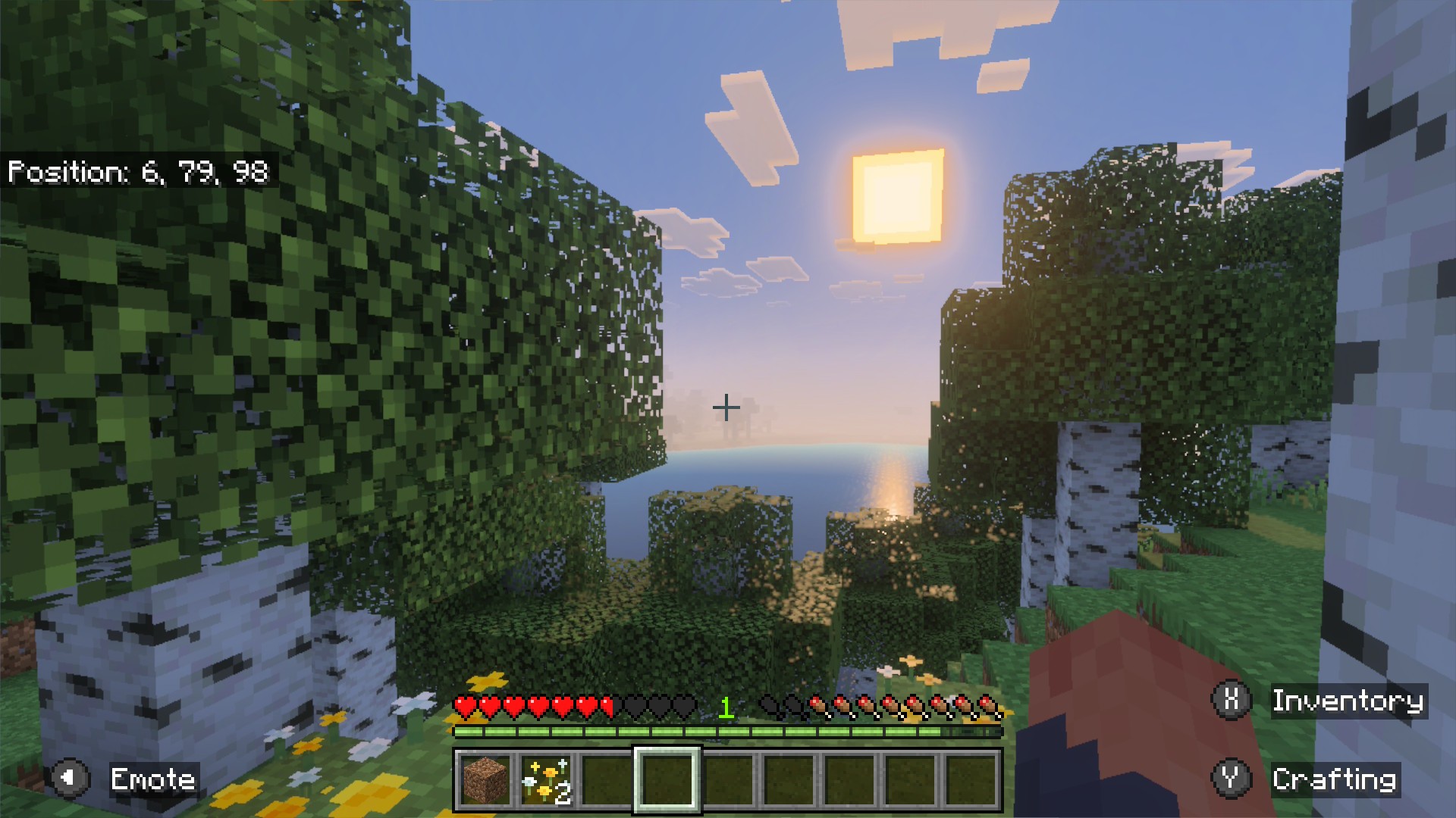 Minecraft: the sun setting over the sea behind birch trees