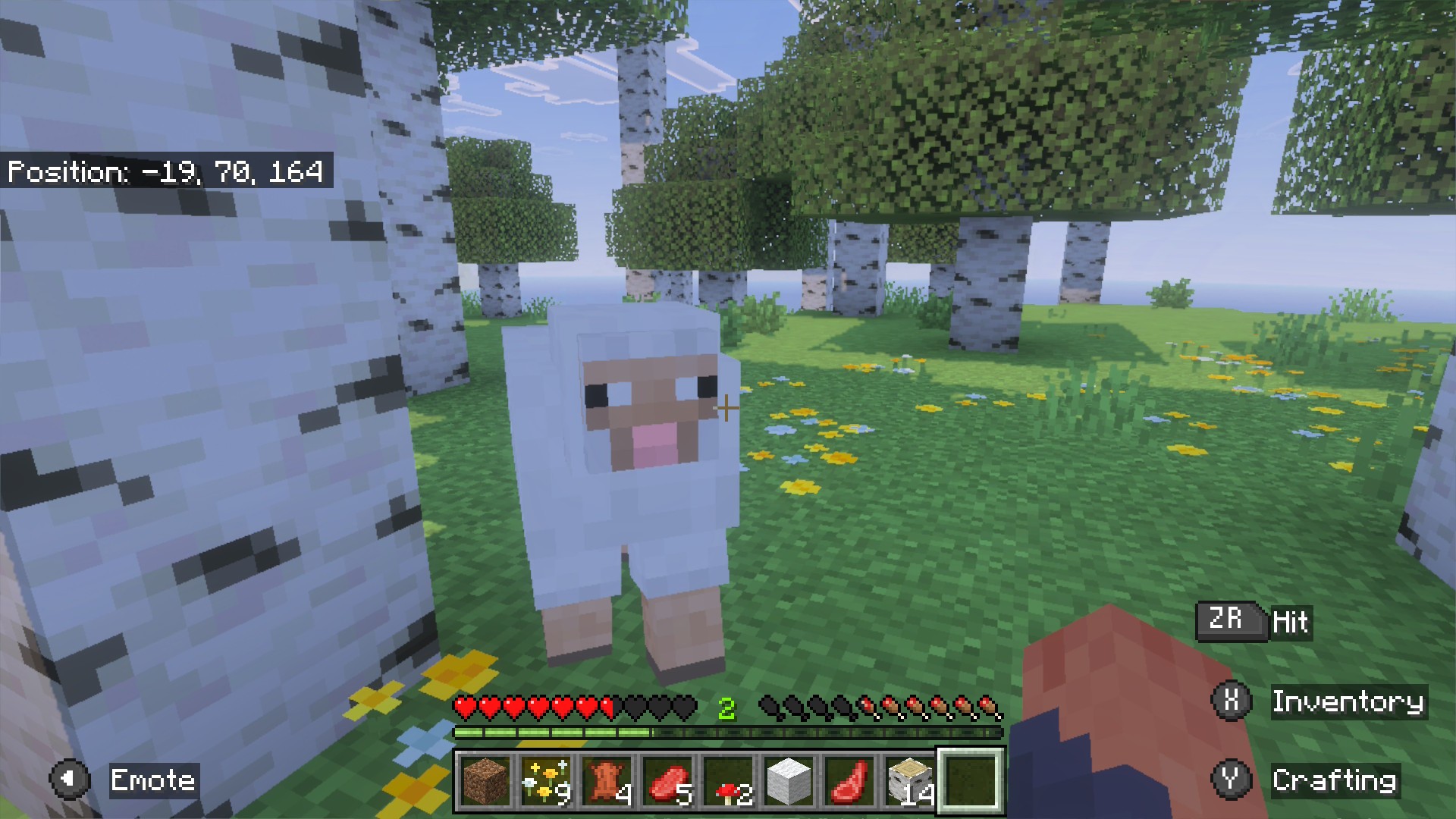 Minecraft: a sheep standing in a birch forest