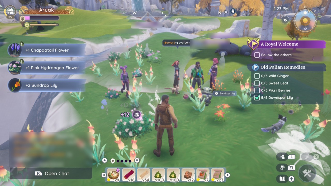 We call it a "flower event": other players announce it in the chat and we all go flower picking together. Very serious business :)